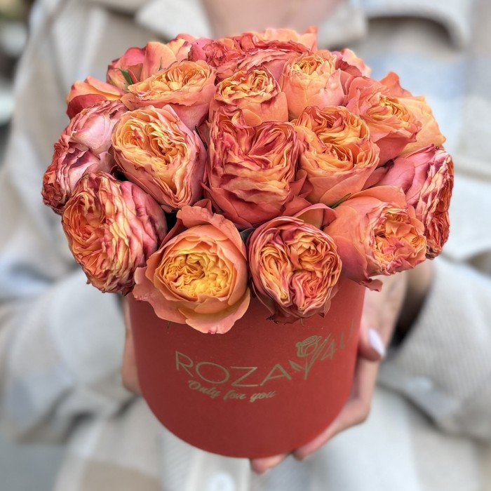 5 кустовых пионовидных оранжевых роз Ля Мандарин в коробке