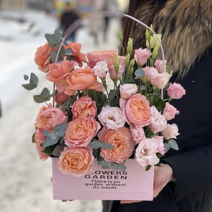 5 кустовых пионовидных роз Джульетта в кашпо