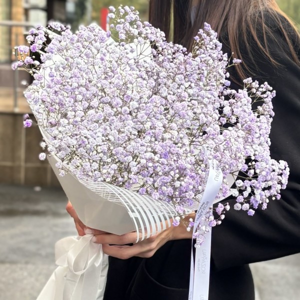 5 лавандовых гипсофил в упаковке