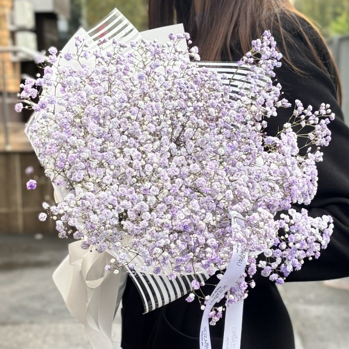 5 лавандовых гипсофил в упаковке