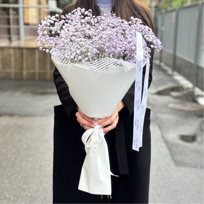 5 лавандовых гипсофил в упаковке