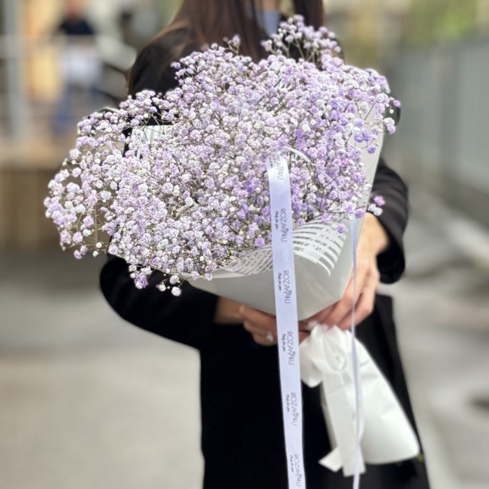 5 лавандовых гипсофил в упаковке