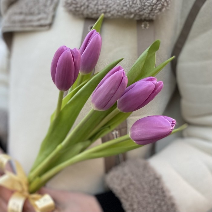 5 лиловых тюльпанов с лентой
