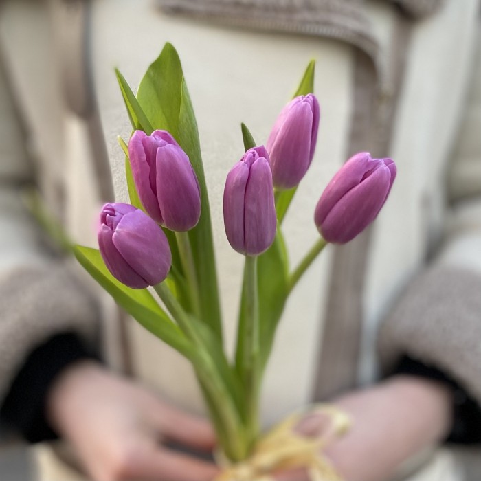 5 лиловых тюльпанов с лентой
