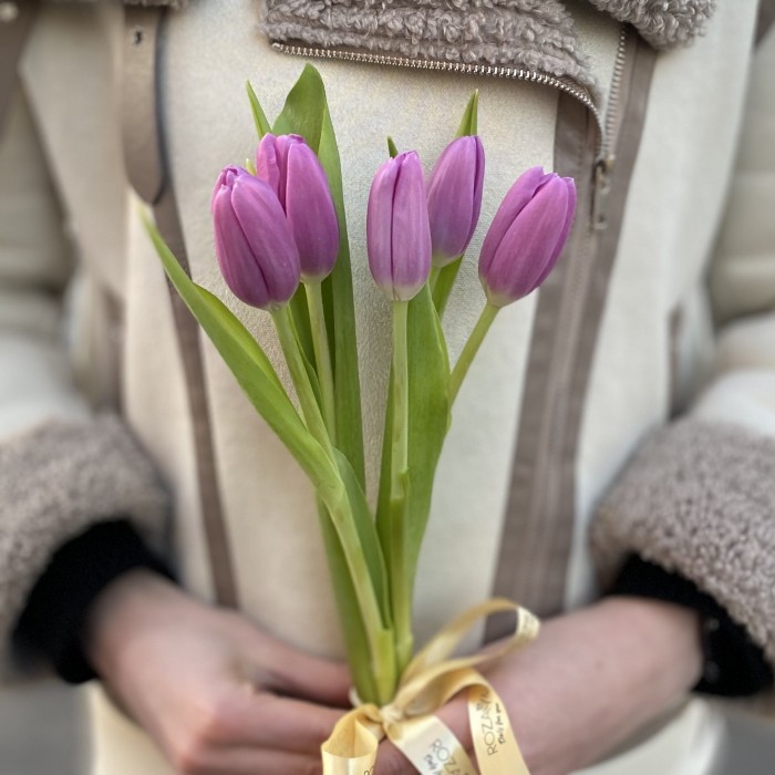 5 лиловых тюльпанов с лентой