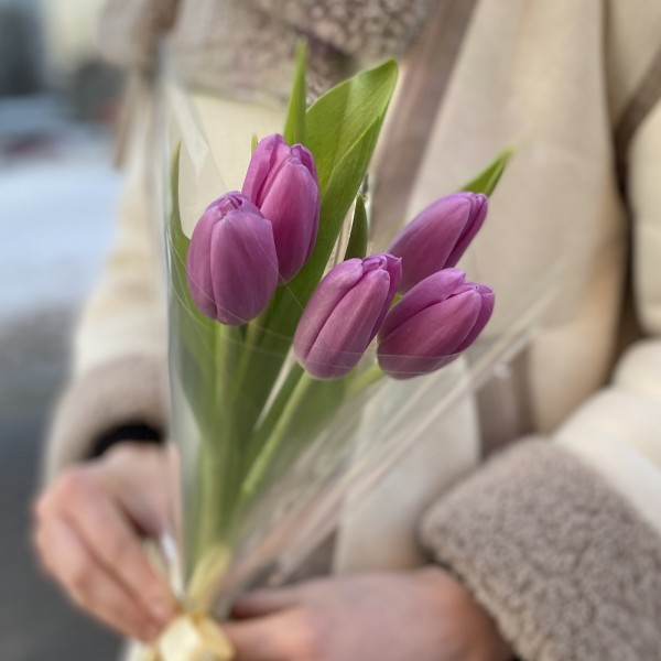 5 лиловых тюльпанов в пленке