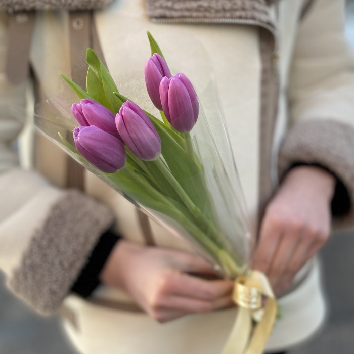5 лиловых тюльпанов в пленке