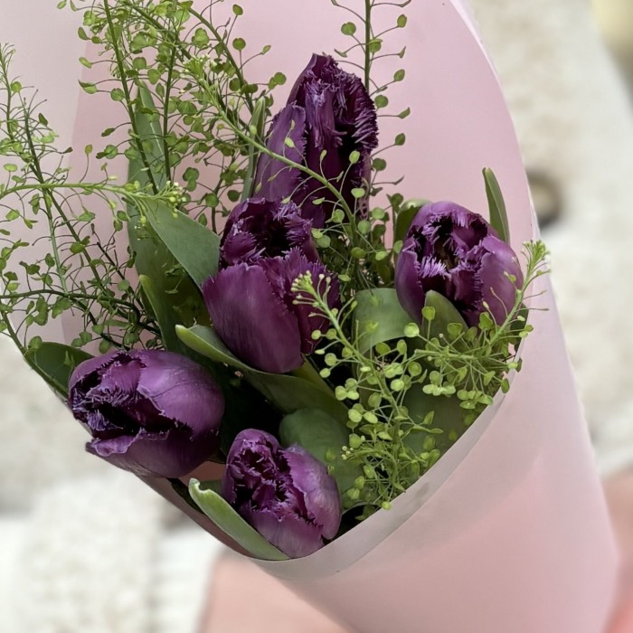 5 махровых фиолетовых тюльпанов с гринбелом