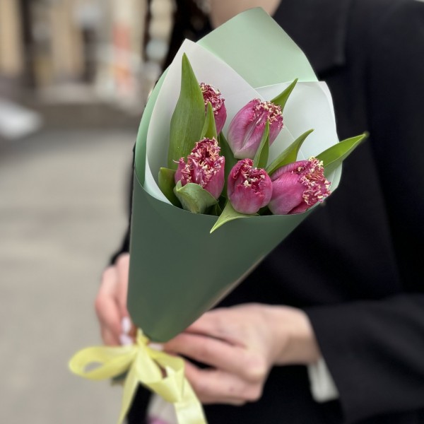 5 махровых темно-розовых тюльпанов в упаковке