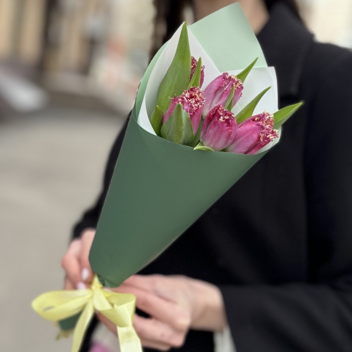 5 махровых темно-розовых тюльпанов в упаковке