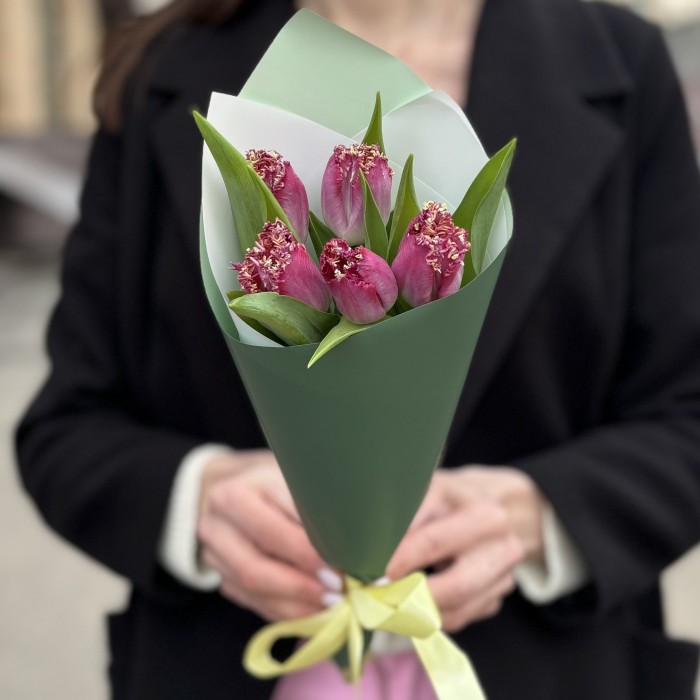 5 махровых темно-розовых тюльпанов в упаковке