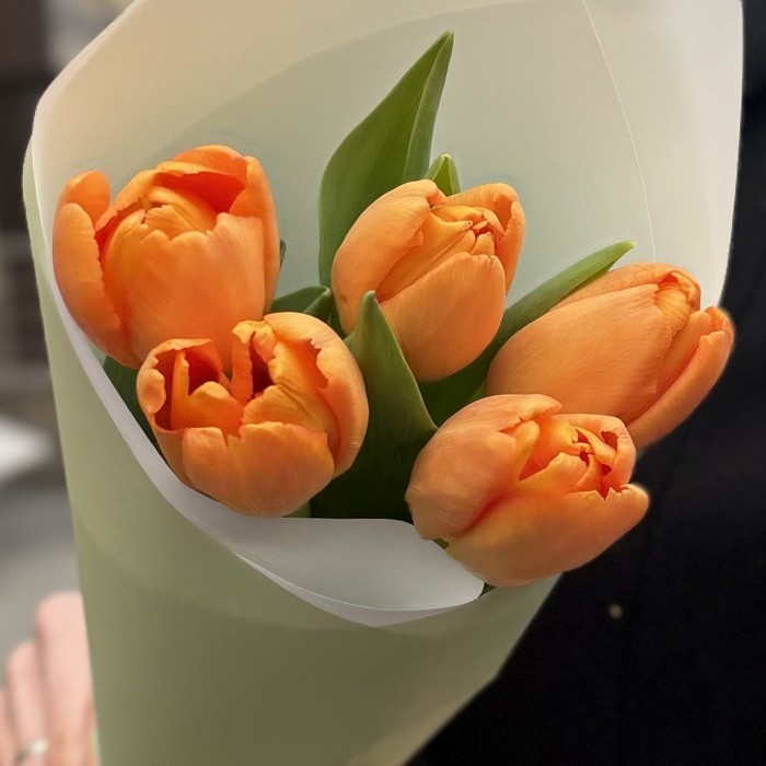5 оранжевых тюльпанов Тайм Аут в упаковке