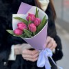 5 пионовидных тюльпанов Квин оф Марвел