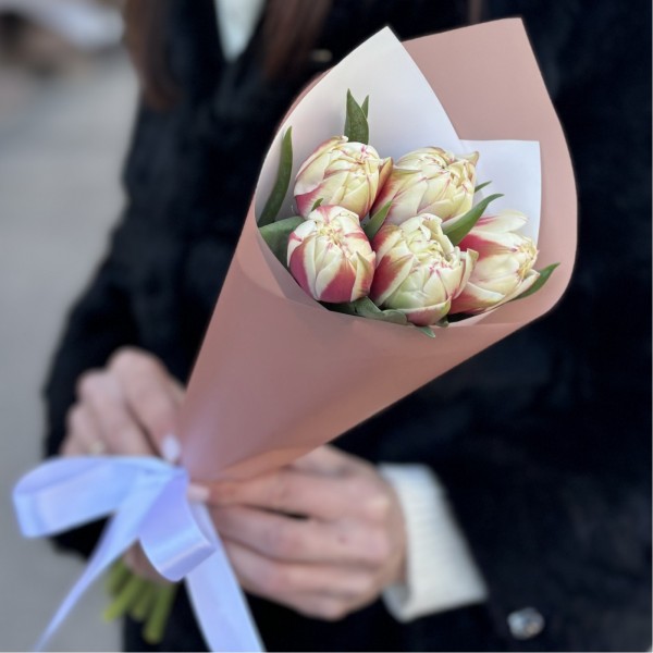 5 пионовидных тюльпанов Вермонт