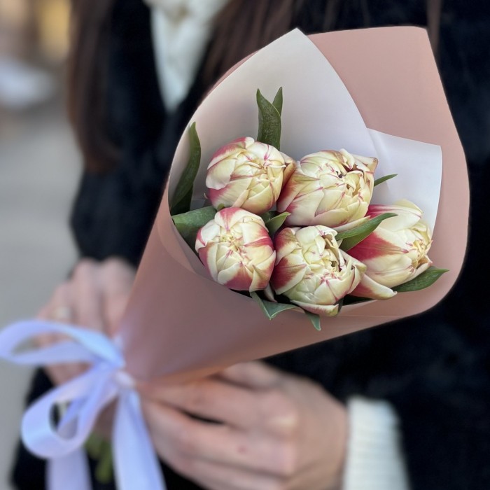 5 пионовидных тюльпанов Вермонт