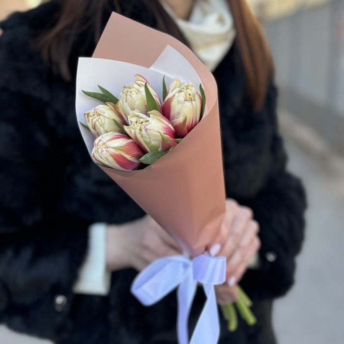 5 пионовидных тюльпанов Вермонт