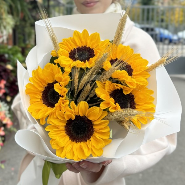 5 подсолнухов с колосьями пшеницы