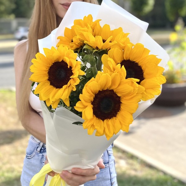 5 подсолнухов в упаковке