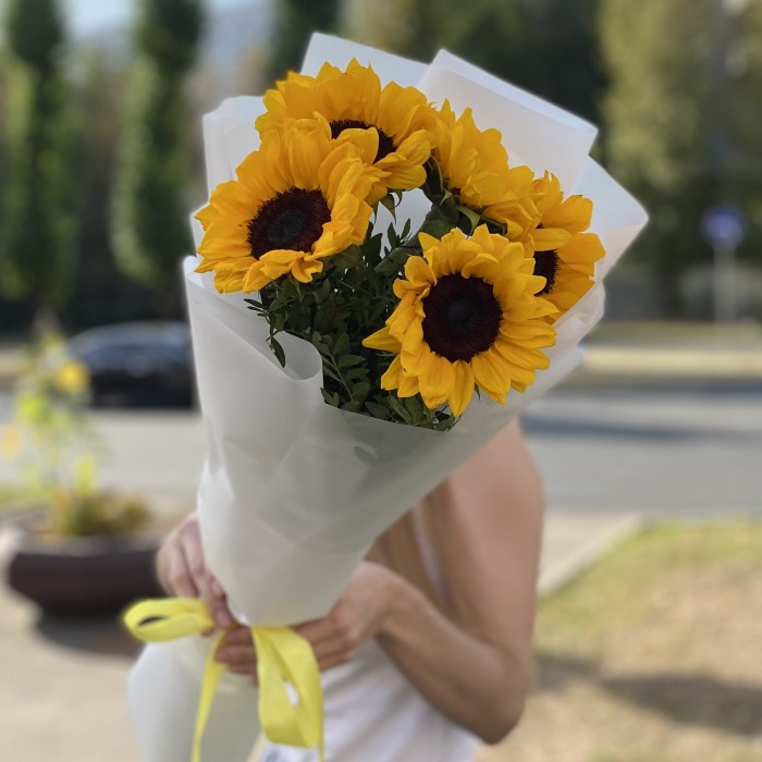 5 подсолнухов в упаковке