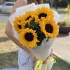 5 подсолнухов в упаковке