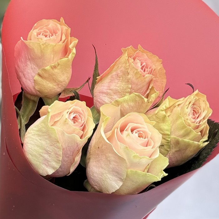 5 роз Фруттето