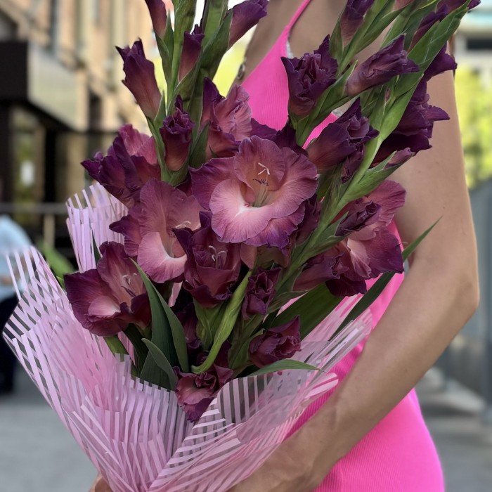 5 розово-фиолетовых гладиолусов