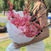 5  розово-малиновых гладиолусов