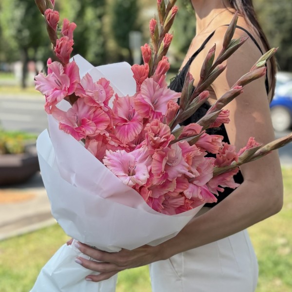 5  розово-малиновых гладиолусов