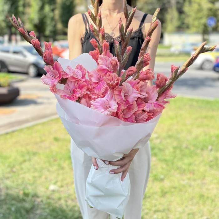 5  розово-малиновых гладиолусов