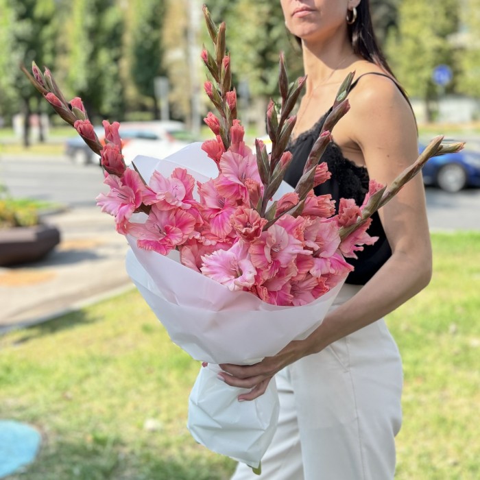 5  розово-малиновых гладиолусов