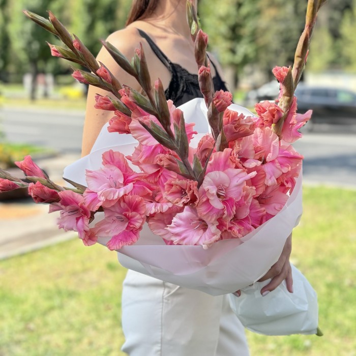 5  розово-малиновых гладиолусов