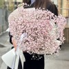 5 розовых гипсофил в упаковке