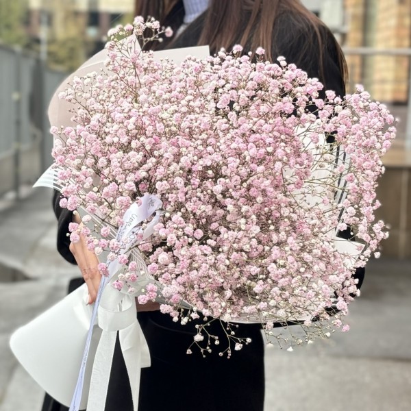 5 розовых гипсофил в упаковке