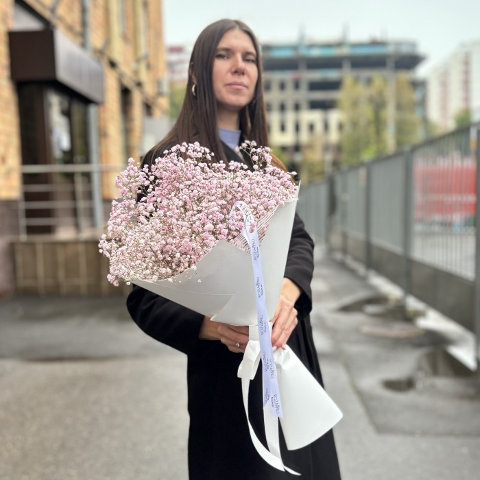 5 розовых гипсофил в упаковке