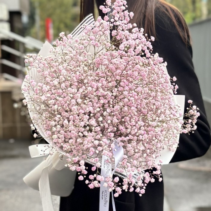 5 розовых гипсофил в упаковке