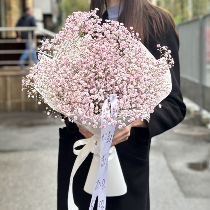 5 розовых гипсофил в упаковке