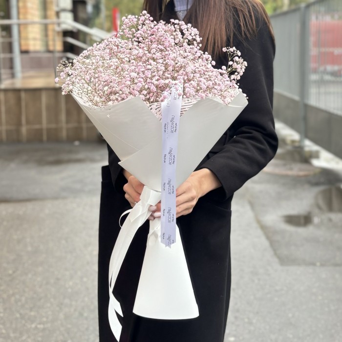 5 розовых гипсофил в упаковке