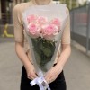5 розовых роз Новия 70 см