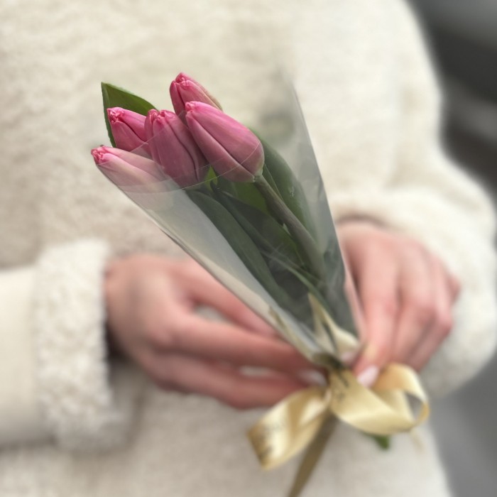 5 розовых тюльпанов Трезор