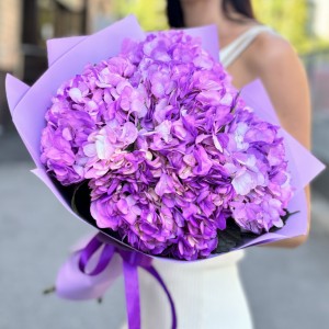 5 сиреневых гортензий