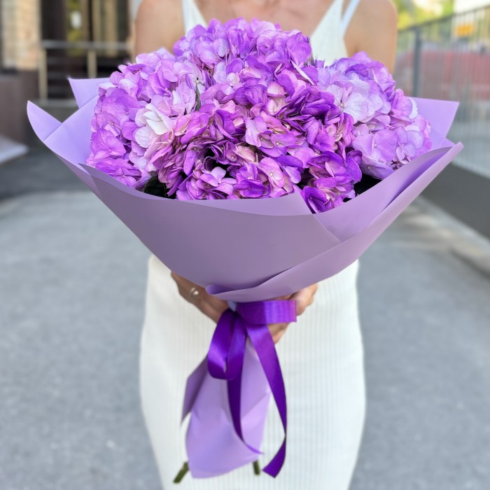 5 сиреневых гортензий