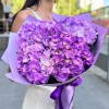 5 сиреневых гортензий