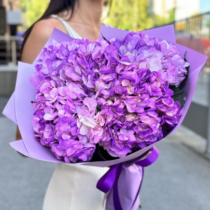 5 сиреневых гортензий
