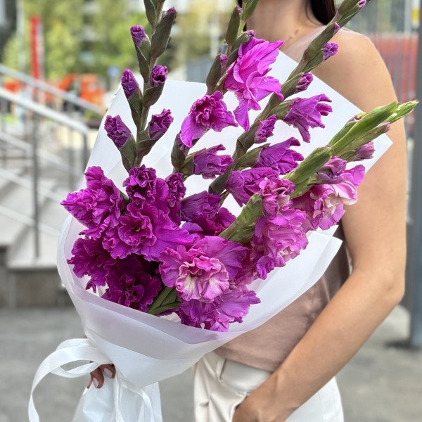 5 фиолетовых гладиолусов