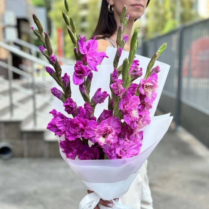 5 фиолетовых гладиолусов