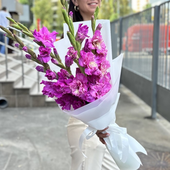 5 фиолетовых гладиолусов