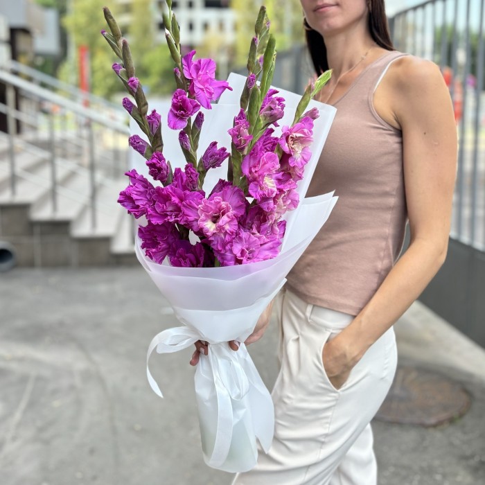 5 фиолетовых гладиолусов