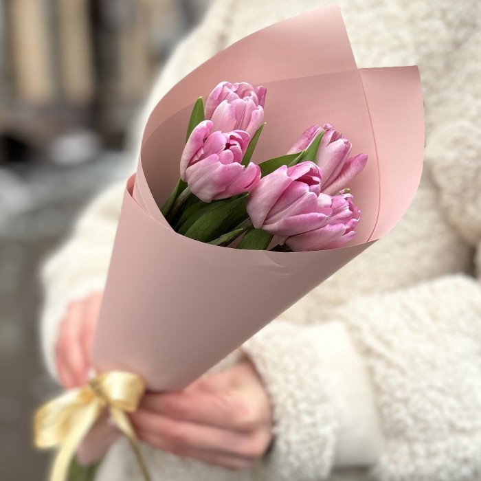 5 розовых тюльпанов Династия в упаковке