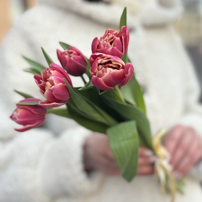 5 розовых тюльпанов Коламбус