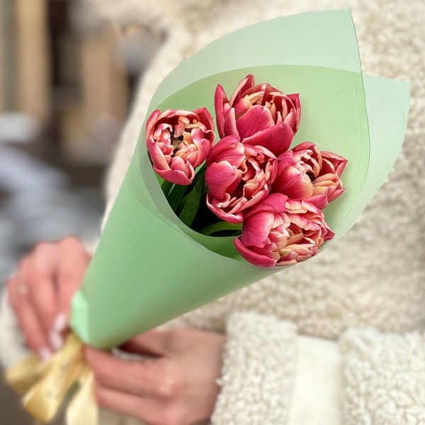 5 розовых тюльпанов Коламбус в упаковке